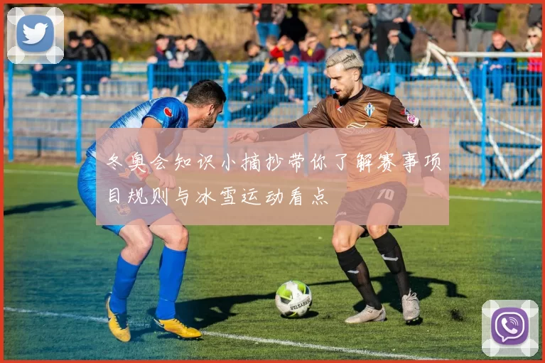 冬奥会知识小摘抄带你了解赛事项目规则与冰雪运动看点