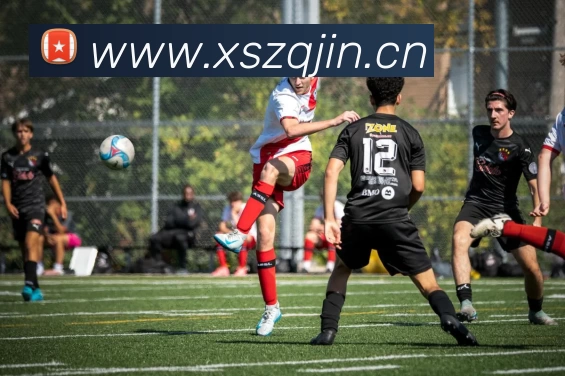 世界杯下单网站发展历程